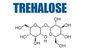Trehaloseの二水化物の甘味料の結晶の粉USPの等級6138-23-4